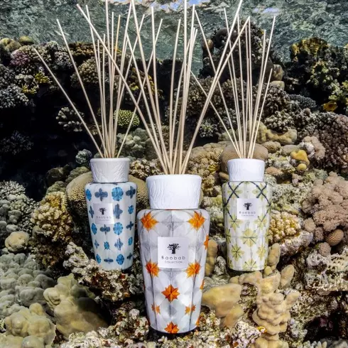 Новые коллекции бренда Baobab Collection Весна-Лето 2022