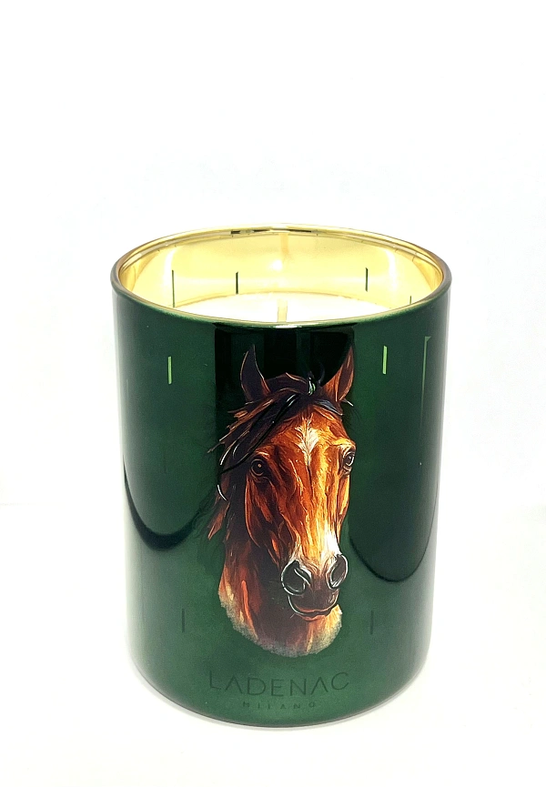 Africa свеча HORSE 350г