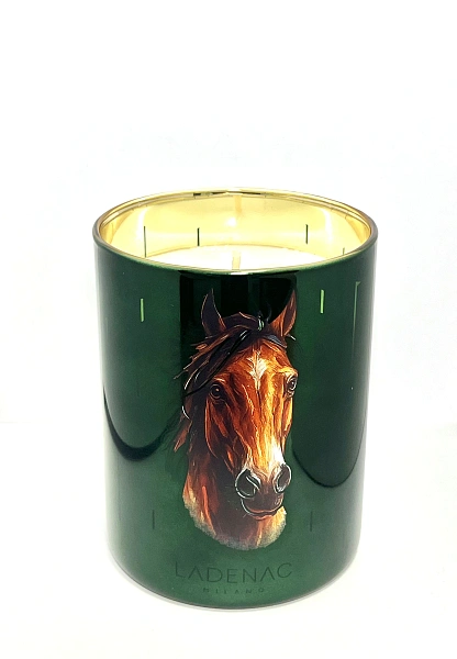 Africa свеча HORSE 350г