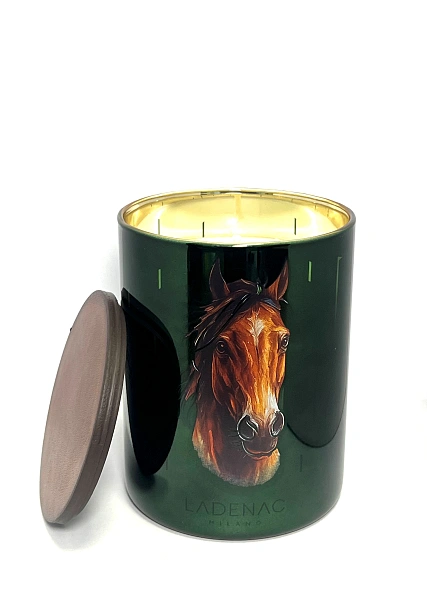 Africa свеча HORSE 350г