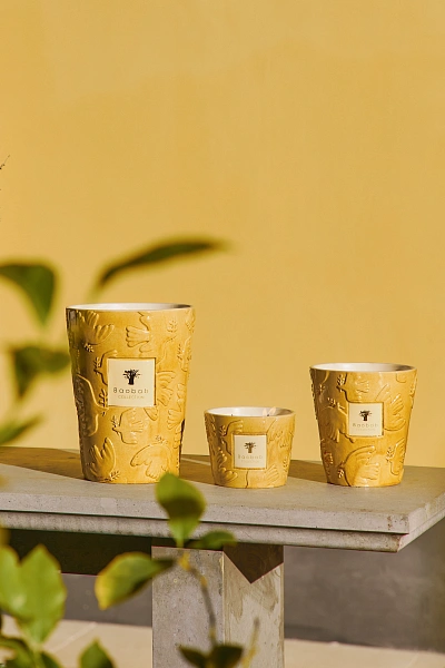Baobab Collection Paz свеча Max 24 Dove 3000г